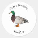 Search for wild duck stickers Anas platyrhynchos