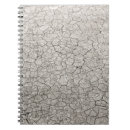 Search for concepts notebooks Abstract