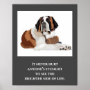 Search for st bernards posters Saint bernard