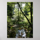 Search for green peace posters Forest