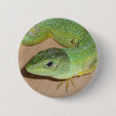 Search for wild reptile badges Wildlife