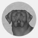 Search for grey dog stickers Cute