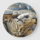 Search for tortoise clocks Reptile