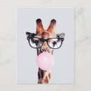 Search for pink gum postcards Giraffe