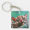 Search for kitten sleeping key rings Cute