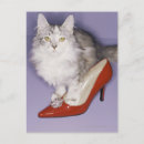 Search for attributed postcards Humour