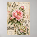 Search for peony art Pink