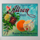 Search for crate art posters Brand