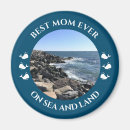 Search for beached whale magnets Whales