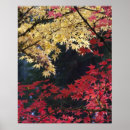Search for maple trees posters Garden