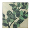 Search for leaves tiles Cream