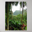 Search for rain forest posters Hawaii
