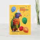Search for rainbow lorikeet Pets