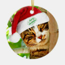 Search for tabby cat christmas tree decorations Animal