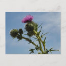 Search for spring horizontal postcards Plant