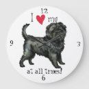 Search for monkey clocks Affenpinscher