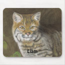 Search for bobcat mouse mats Wildcat