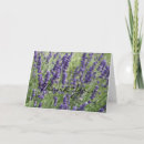 Search for aroma cards Smell