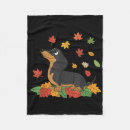 Search for dachshund thanksgiving Autumn