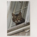 Search for tabby cat puzzles Grey
