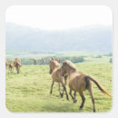 Search for horse running stickers Nature