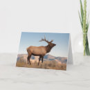 Search for mammoth cards Wildlife