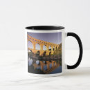Search for eu mugs Architecture