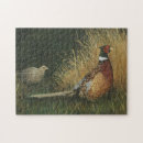 Search for pheasant puzzles Hunting