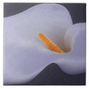 Search for collectable tiles Flower