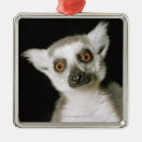 Search for lemur christmas tree decorations Monkey