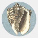Search for coastal nautical stickers Seashell