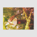 Search for large decoupage tissue paper Nature