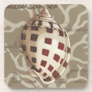 Search for seaside coasters Seashells