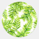 Search for ferns stickers Woodland