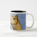 Search for cairo mugs Adam jones