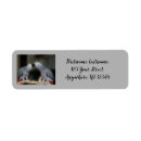 Search for african return address labels Animals