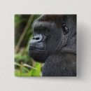 Search for captivating badges Wildlife