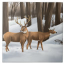 Search for whitetail deer tiles Winter