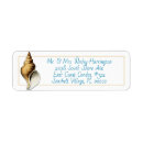 Search for whelk Whelk shell
