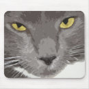 Search for whiskers photography Feline