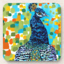Search for peacock coasters Feather