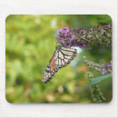 Search for monarch mouse mats Floral