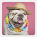 Search for 18 stickers Horizontal