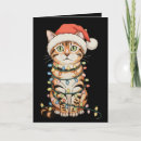 Search for bengal cat cards Funny