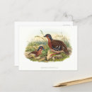 Search for partridge postcards Vintage