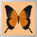 Search for vector butterfly posters Pattern