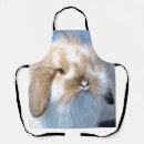 Search for brown rabbit aprons Easter
