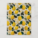 Search for vintage fruit pattern postcards Botanical