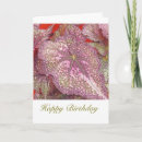 Search for begonias cards Photography