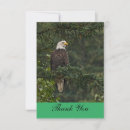 Search for eagle thank you cards Bird